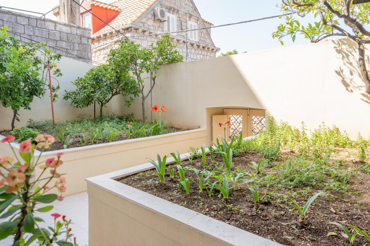 Mazza House Cavtat With Sea View-Center Apartment Ngoại thất bức ảnh